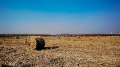 Kakadu Casino Mobil App